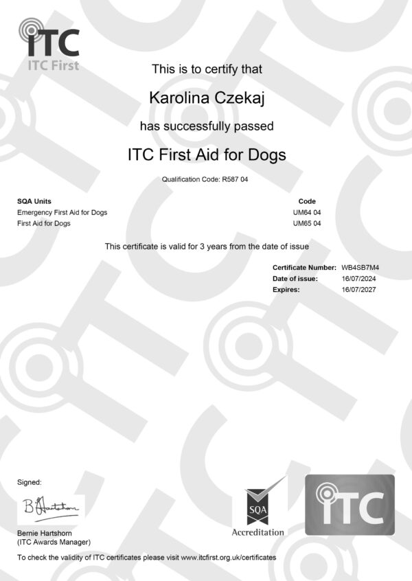 ITC_Certificate_Karolina_Czekaj_WB4SB7M4